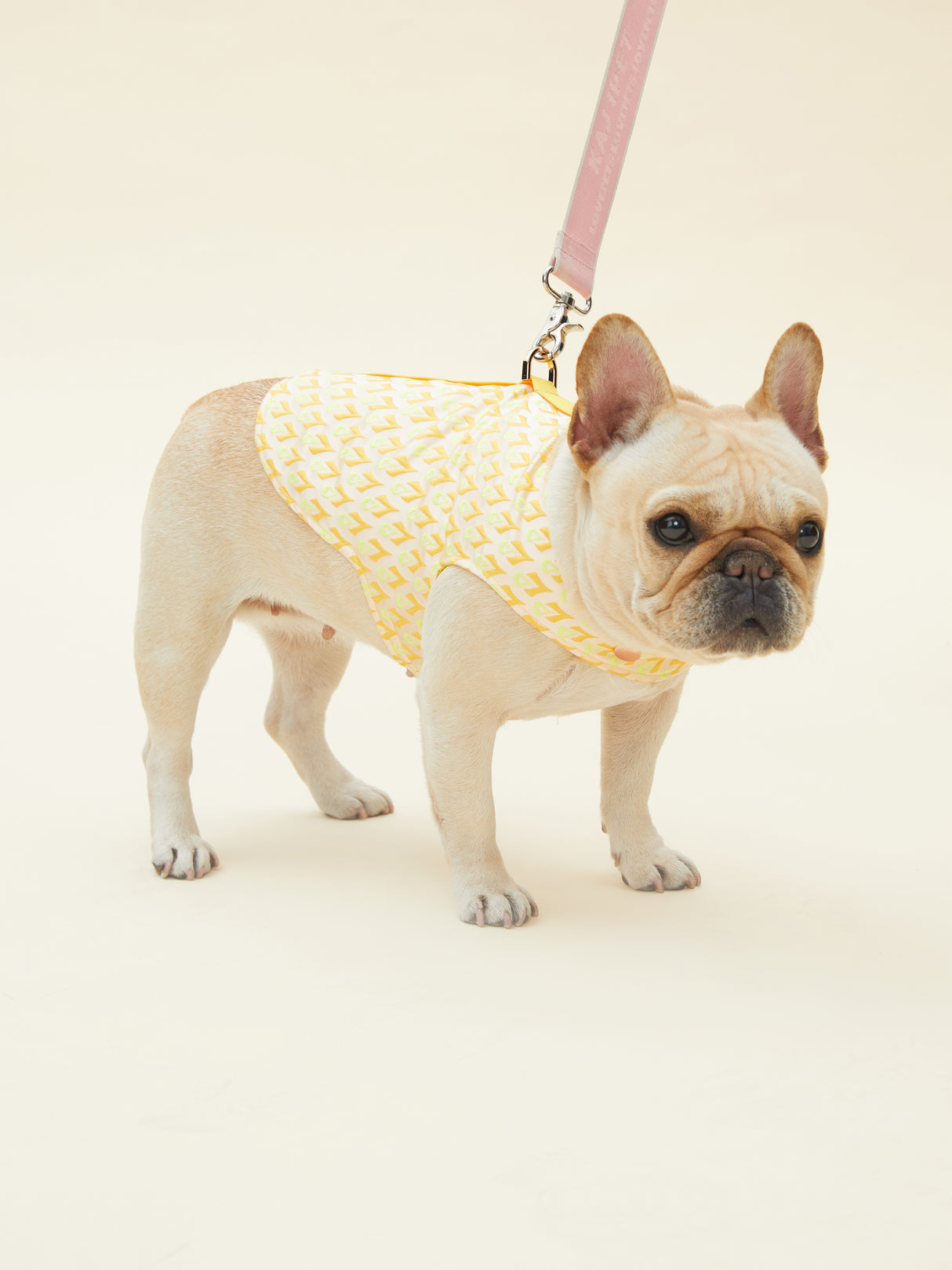 SIGNATURE HARNESS (ORANGE)