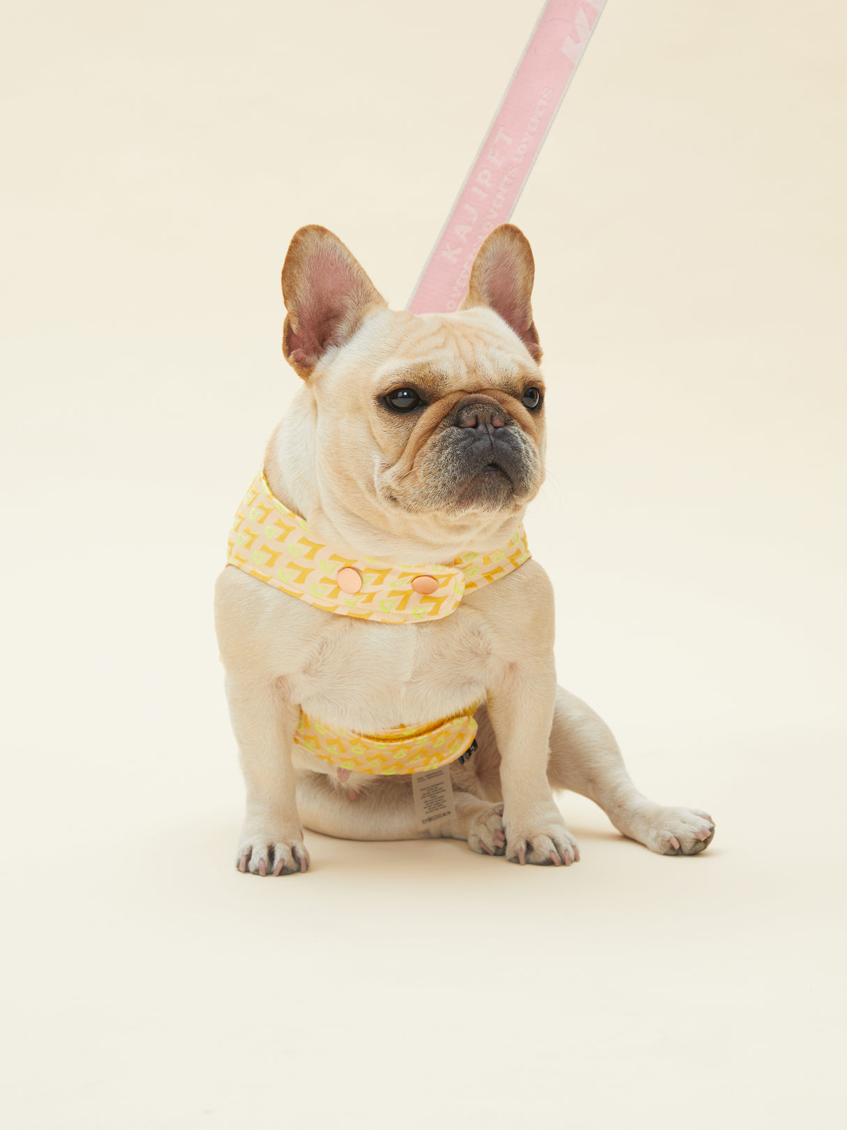 SIGNATURE HARNESS (ORANGE)