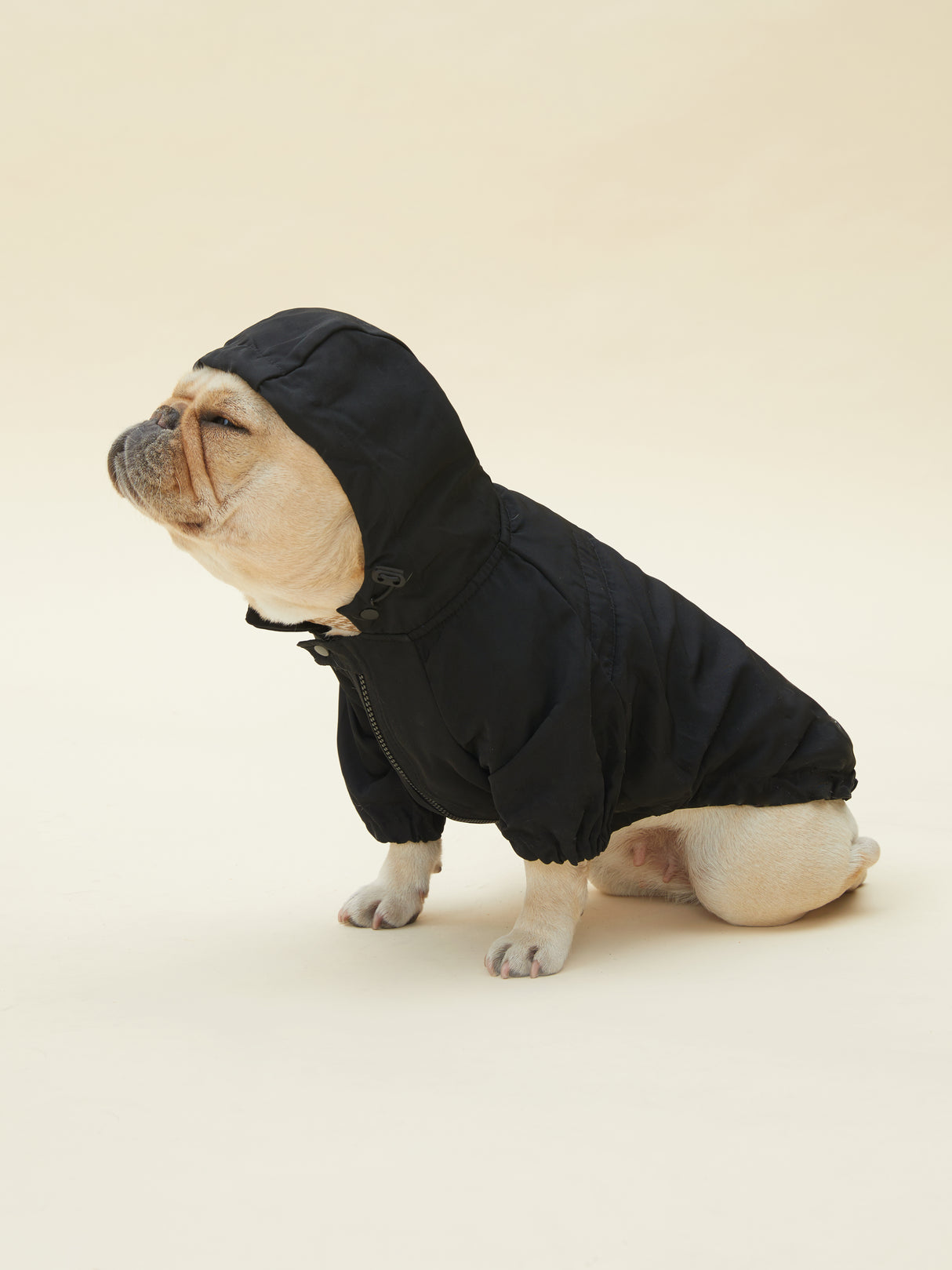 URBAN RAINCOAT/WINDBREAKER (BLACK)