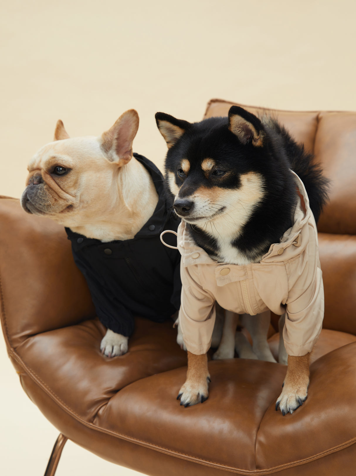 URBAN RAINCOAT/WINDBREAKER (SAND)