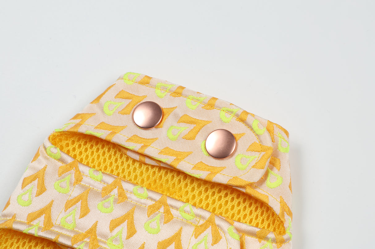 SIGNATURE HARNESS (ORANGE)