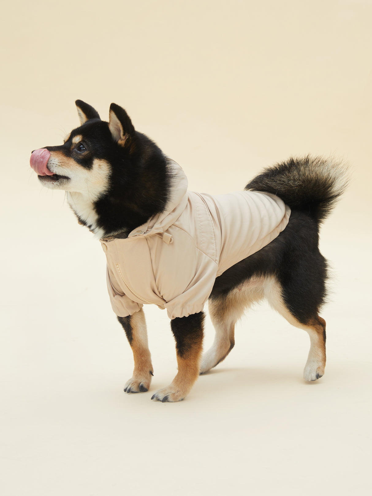 URBAN RAINCOAT/WINDBREAKER (SAND)