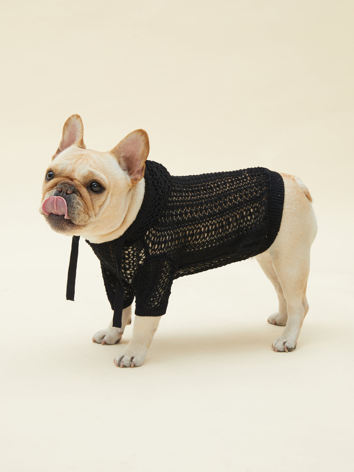 URBAN RAINCOAT/WINDBREAKER (BLACK)